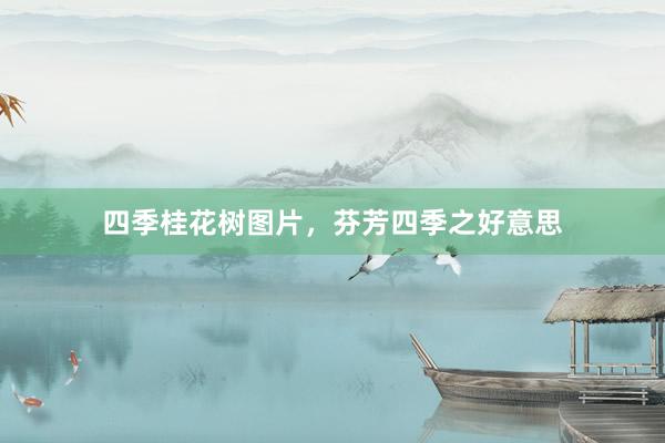 四季桂花树图片，芬芳四季之好意思